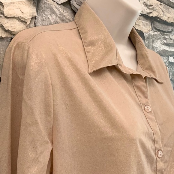 #50 Fun & Flirt Champagne Pink Metallic Shimmer Chiffon Blouse Shirt Top Tunic - Picture 4 of 5